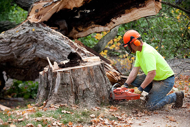 Landscape Design and Installation in Stafford, OR