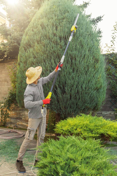 Grass Overseeding in Stafford, OR